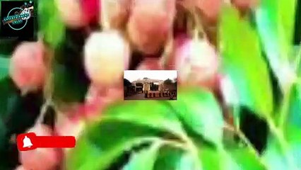 Hidden Secrets of Khanpur Dam  khanpur Dam ke Poshida Raaz  آدم خور ڈ یم  Entertainment Crust