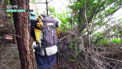 한국기행 - Korea travel_쉼이 필요한 당신에게 4부- 금당도 기행_#001
