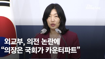 외교부, 펠로시 의전 논란에 "정부 아닌 국회가 카운터파트"