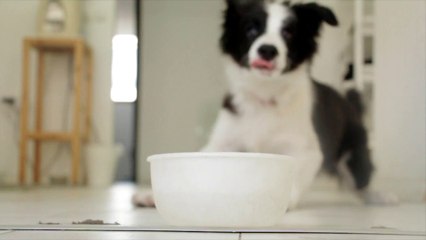 If you are very hungry, eat quickly