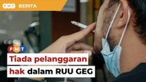 Tiada pelanggaran hak Perlembagaan dalam RUU Generasi Penamat, kata pakar