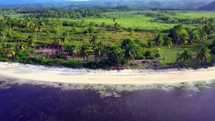 Tahiti Quest - 4 août