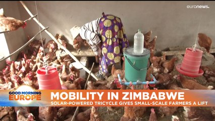 Solar-powered tricycles ease burden for Zimbabwe's small-scale farmers