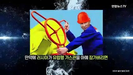 [세로뉴스] "러 의존 줄여야" 경고했는데…땔감 구하는 독일
