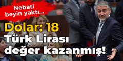 Nebati, beyin yaktı: Türk lirası değer kazanmış