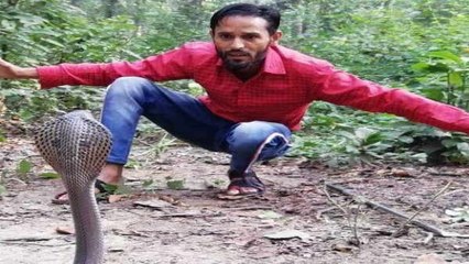 5वीं कक्षा से टीवी पर सीखते-सीखते खुद ही पकड़ने लगा सांप,  हुआ वायरल तो वन विभाग ने दे दी नौकरी