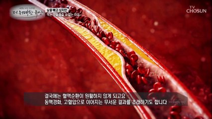몸속 염증 관리와 호르몬 조절로 살을 뺄 수 있다!? TV CHOSUN 20220804 방송
