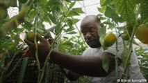 Cameroon: Greenhouse farm to tackle global food insecurity