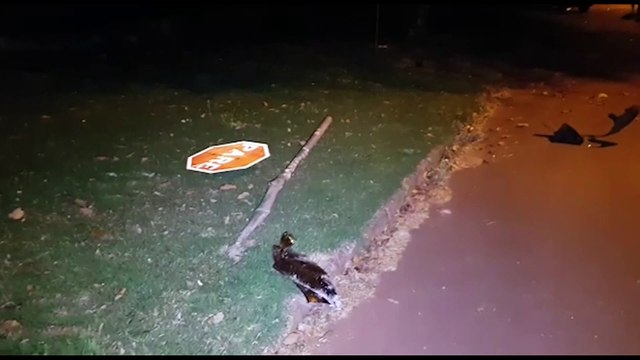 Veículo desgovernado causa grande prejuízo em três acidentes seguidos; carro invadiu academia, fugiu e colidiu em dois veículos