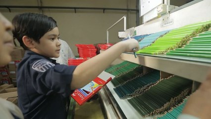 Kepoin Pembuatan Pensil Warna Langsung Di Pabrik nya, Bareng Adhiyat yuk!