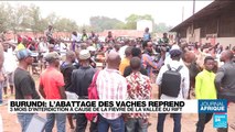 Burundi : l'abattage des vaches reprend après 3 mois d'interdiction à cause de la fièvre de la vallée du Rift