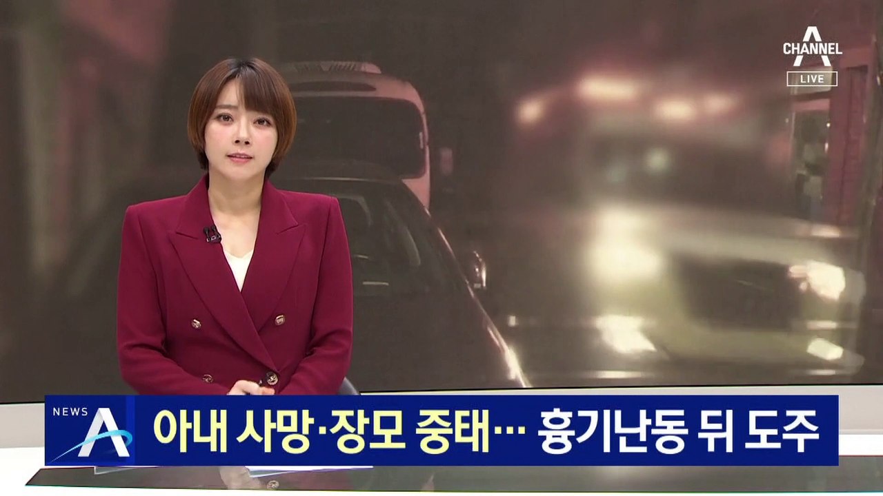 아내 사망·장모 중태…흉기 난동 뒤 도주한 남성
