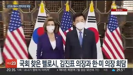 국회 찾은 펠로시, 한미 의장회담…"확장된 억제력으로 北비핵화 지원"