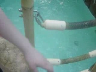 TOBOGGAN A CENTER PARC