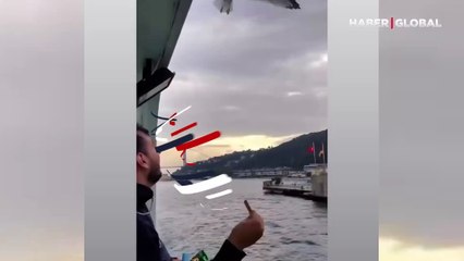 Vapurda martıyı trolleyen adam viral oldu