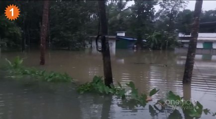 ചാലക്കുടിയിൽ സ്ഥിതി  ഗുരുതരം. ആളുകളെ ഒഴിപ്പിക്കുന്നു