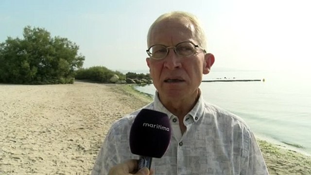 Istres : plages interdites aux algues !