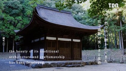 Cette niche (de luxe) pour chien coûte plus cher qu’un appartement !