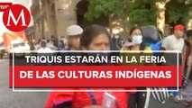 Comunidad Triqui ingresará a Zócalo para participar en la feria de las culturas indígenas