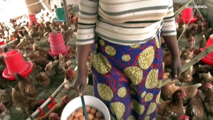 Помощь женщинам Зимбабве