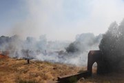 Son Dakika | Ahlat'taki tarihi mezarlıkta çıkan yangın söndürüldü