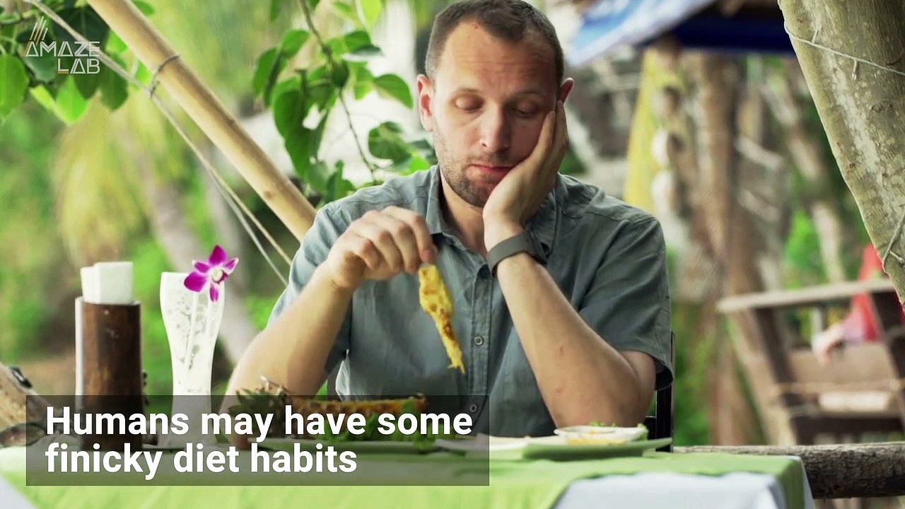Some Animals Have the Strangest Eating Habits