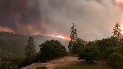 'It's a monster': California wildfire evacuees recount their escape