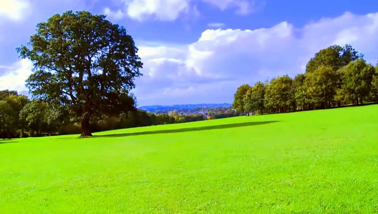 Music Study Relaxing Harp, Relaxation, Meditation, Sleep Instrumental Background Music
