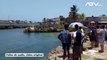 ¡Increíble! Fuga de delfines en acuario de Cuba
