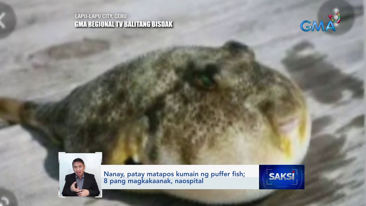 Nanay, patay matapos kumain ng puffer fish; 8 pang magkakaanak, naospital | Saksi