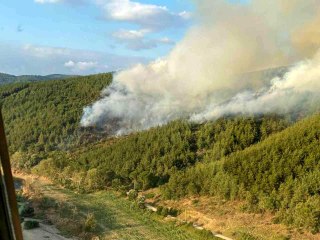 Tải video: Balıkesir gündem haberi | BALIKESİR - Orman yangınına karadan ve havadan müdahale ediliyor