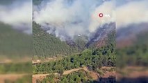 Susurluk'ta orman yangını