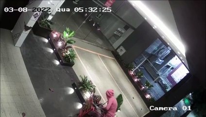 Suspeito aparece nas imagens furtando as plantas do jardim