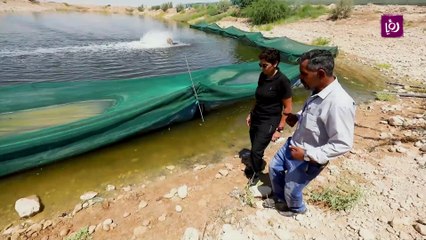 كيف تقيمون الانتاج المحلي الأردني من السمك؟