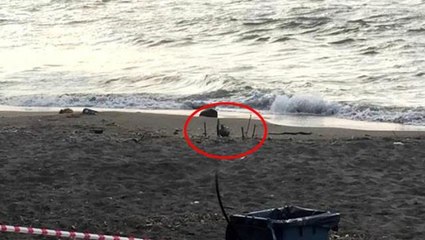 Ordu sahilinde mayın paniği! Bölgede kuş uçurtulmuyor, ekipler teyakkuzda