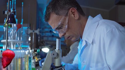 The Most Terrible Antarctic Creatures You've Never Seen Before