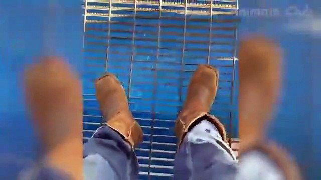 أفضل مقاطع فيديو حيوانات مضحكة لعام 2022 - مقاطع فيديو قطط لطيفة وكلاب مضحكةBest Funniest Animal Videos of 2022 - Cute Cats and Funny Dogs Videos