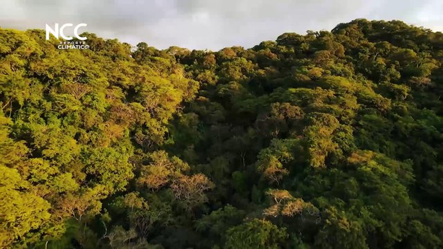 Reporte Climático 53 | Centroamérica frente al cambio climático