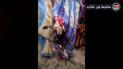 سبحان الله،7 حيوانات تتكلم مثل البشر تماماً وتذكر الله امام الاف المسلمين وانتم غافلون عنها !!