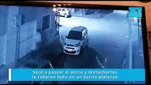 Sacó a pasear al perro y motochorros le robaron todo en un barrio platense