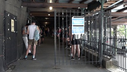 Varíola do macaco é declarada emergência sanitária nos EUA