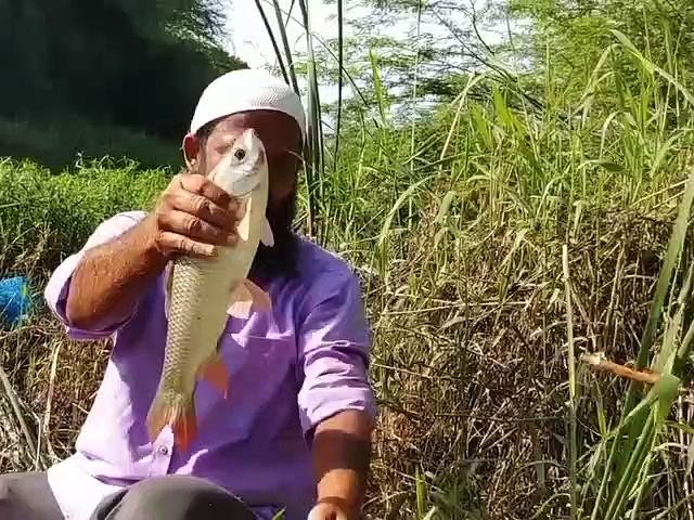 Hook Fishing