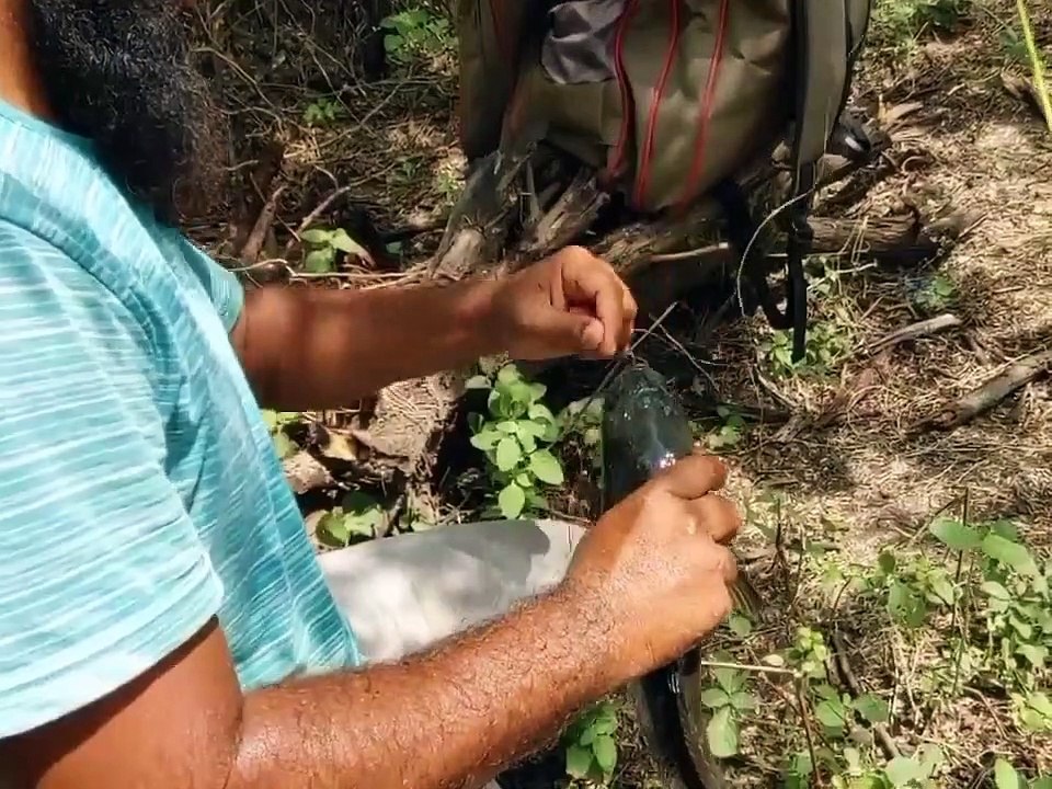 Natural hook fishing Video #hook_fishing #fish
