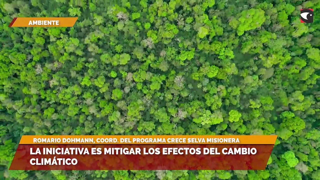 La iniciativa es mitigar los efectos del cambio climático