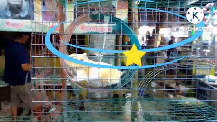 PASAR MALAM HIBURAN RAKYAT 1