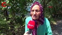 Giresun'da 'sızıntı' tespit edilen çöp tesisine kapatma kararı