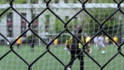 Pexels Videos 3882.mp4