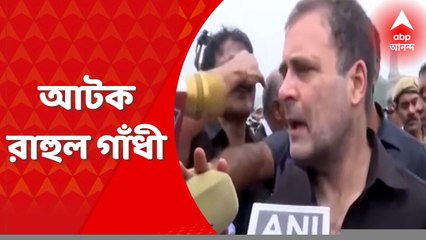 Congress Protest: মূল্যবৃদ্ধি থেকে বেকারত্ব, কালো পোশাকে প্রতিবাদ কংগ্রেসের, সংসদ মার্গে আটক সাংসদ রাহুল গাঁধী