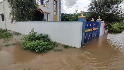 ஒகேனக்கல் காவிரி ஆற்றில் தொடரும் வெள்ளப்பெருக்கு - வீடியோ