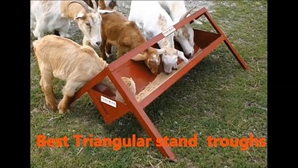 LEARN GOAT FARMING - DISEASE MANAGEMENT PART 8